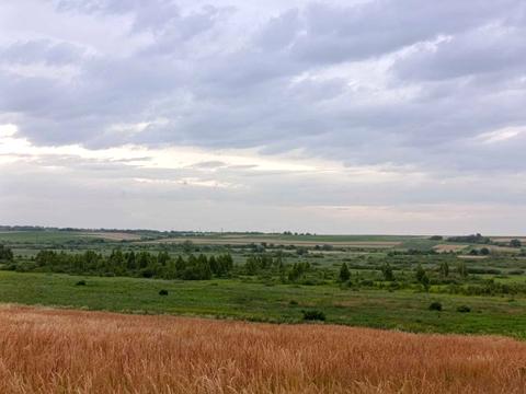 участок по адресу с. Сытыхов, 