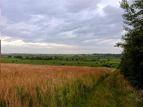 участок по адресу с. Сытыхов, 