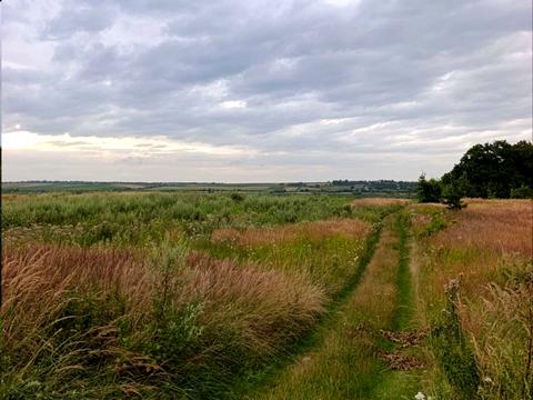 участок по адресу с. Сытыхов, 