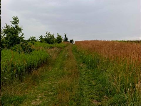 участок по адресу с. Сытыхов, 