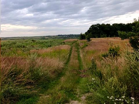 участок по адресу с. Сытыхов, 