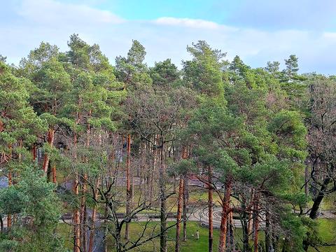 квартира по адресу Соборная ул., (Будинок 1)