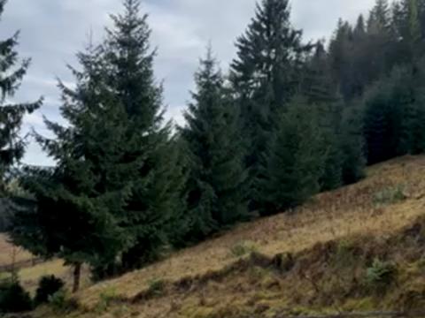 ділянка за адресою Довгий Грунь, 1