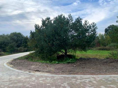 участок по адресу Княгині Ольги