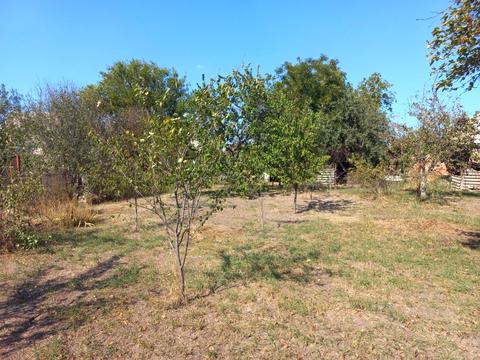 дом по адресу Перемоги, 2