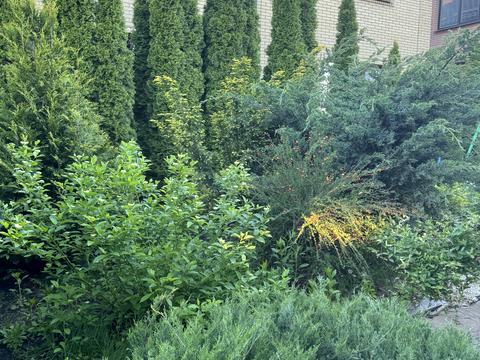 будинок за адресою смт. Бабаї, Космічна