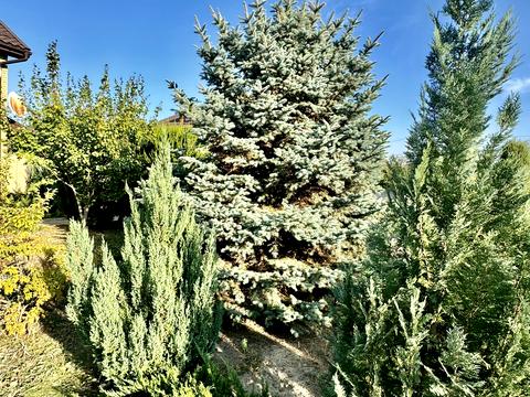 будинок за адресою смт. Бабаї, Космічна