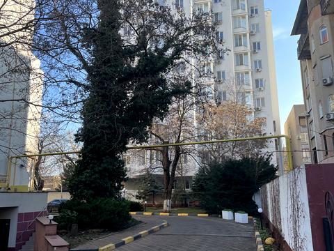 квартира по адресу Французский бульв., 49А