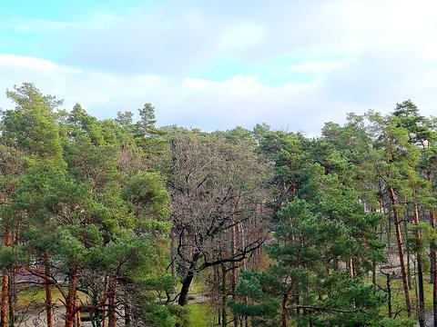 квартира по адресу Ирпень, Соборная ул., (Будинок 1)