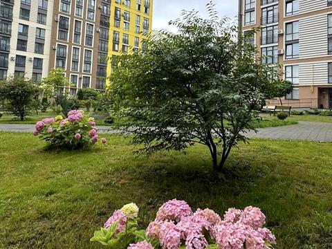 квартира по адресу Тараса Шевченко ул., 60/5