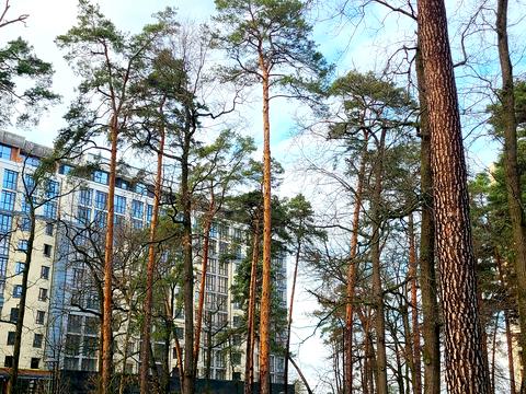 квартира по адресу Соборная ул., (Будинок 1)