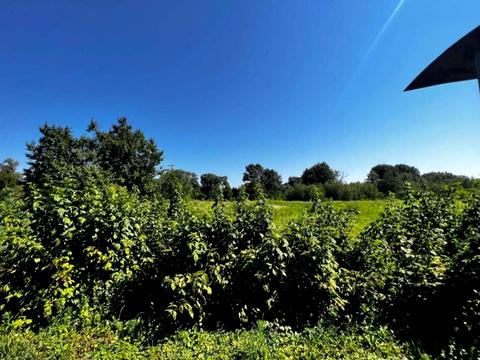 будинок за адресою Бранця