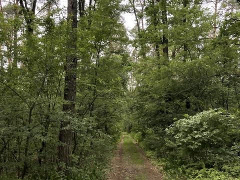 участок по адресу 