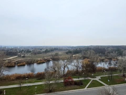 квартира по адресу Степана Рудницького ул. (Шолохова), 15