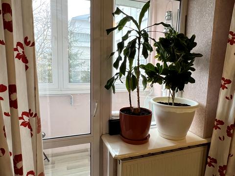 квартира по адресу Садовничая ул., 17