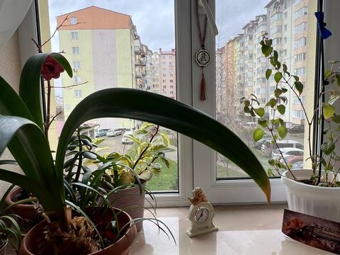 квартира по адресу Гетмана Мазепы ул., 175а