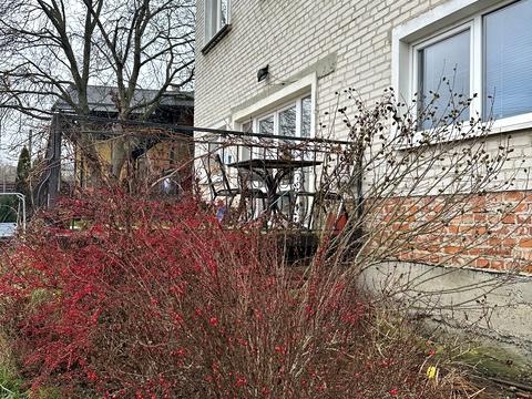 будинок за адресою Збройних Сил України вул. (Миру)