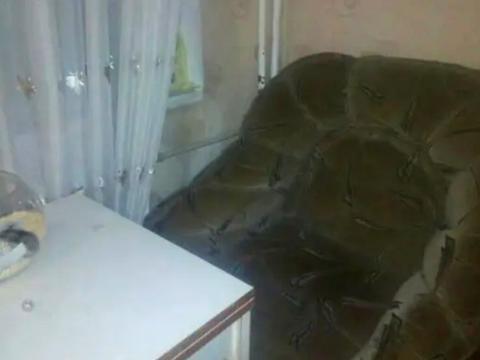 квартира по адресу Святослава Рихтера ул. (Щорса), 131