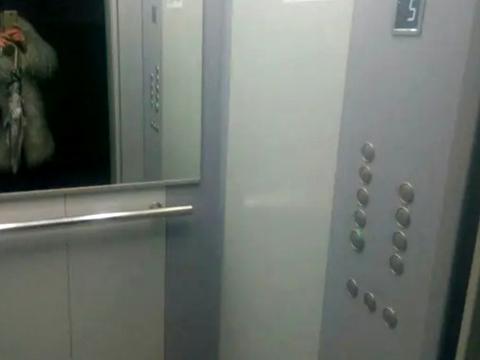 квартира по адресу Святослава Рихтера ул. (Щорса), 131