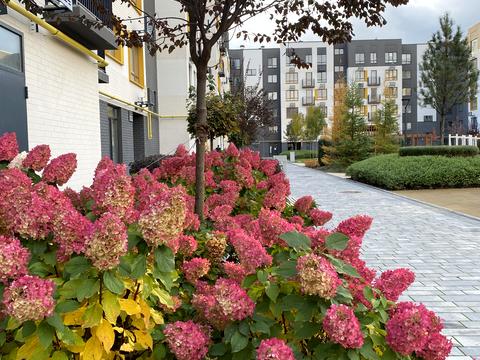 квартира по адресу Соборная ул., 2-К/18