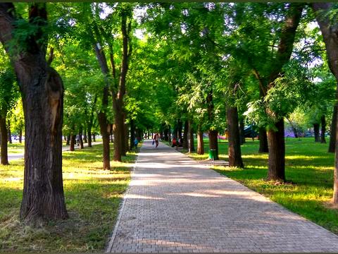 квартира за адресою Транспортна вул., 11