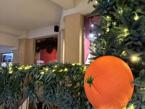 квартира за адресою Житня вул., 9