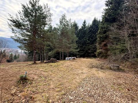 ділянка за адресою Лісна вул.