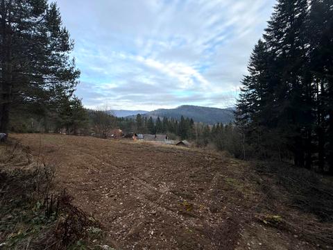 ділянка за адресою Лісна вул.