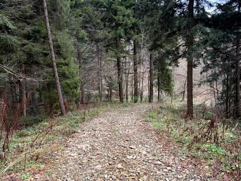 ділянка за адресою Лісна вул.