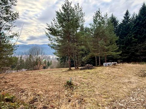 ділянка за адресою Лісна вул.