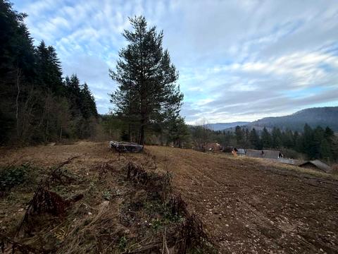 ділянка за адресою Лісна вул.