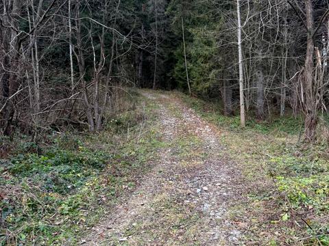 ділянка за адресою Лісна вул.