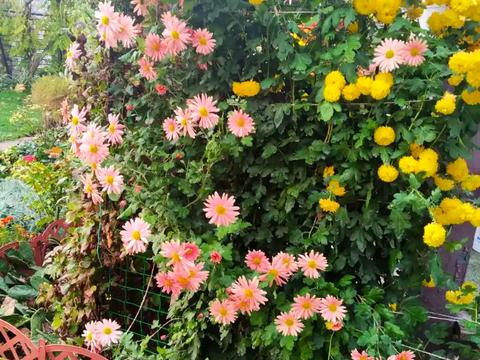 дом по адресу Мостостроительная ул., 17