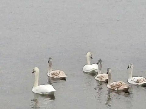 дом по адресу Мостостроительная ул., 17