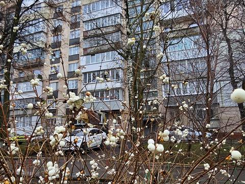 квартира за адресою Інститутська вул., 22