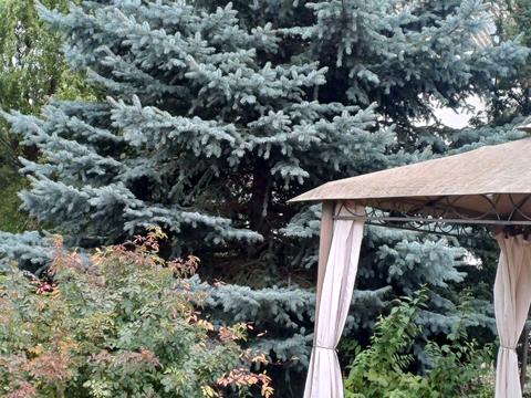 дом по адресу Молодіжний провулок, 5