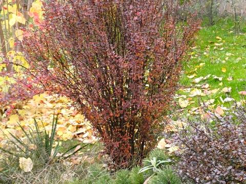 дом по адресу Молодіжний провулок, 5