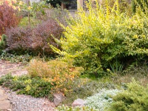 дом по адресу Молодіжний провулок, 5