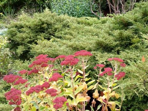 дом по адресу Молодіжний провулок, 5