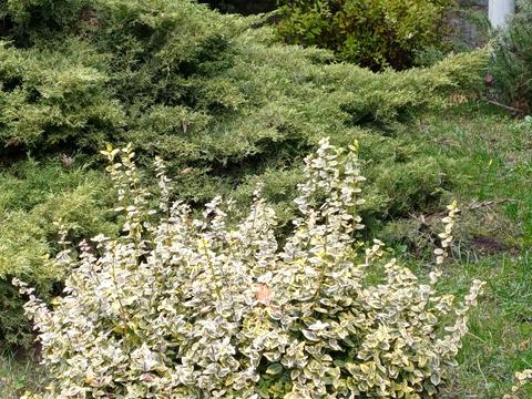 дом по адресу Молодіжний провулок, 5