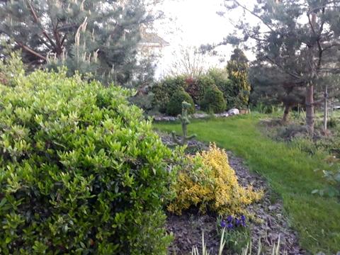 дом по адресу Передовая ул.