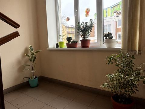 квартира за адресою Миколи Сингаївського вул. (Ново-Оскольська), 1-М