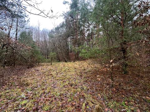 ділянка за адресою Замарстинівська вул. (Калініна)