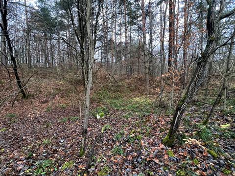 ділянка за адресою Замарстинівська вул. (Калініна)