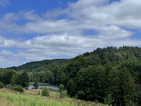 ділянка за адресою с. Ставки, 
