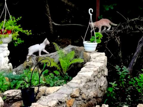 будинок за адресою Бреуса вул., 49