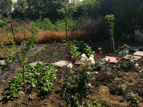 будинок за адресою Бреуса вул., 49