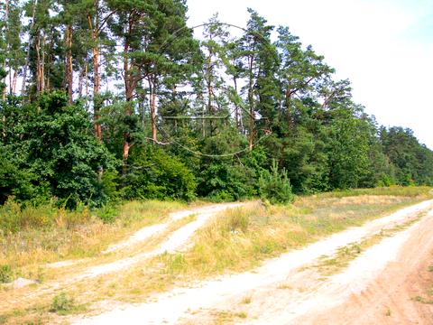 участок по адресу 