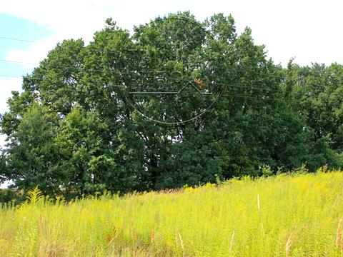 участок по адресу 