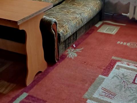 квартира по адресу Победы ул., 93б